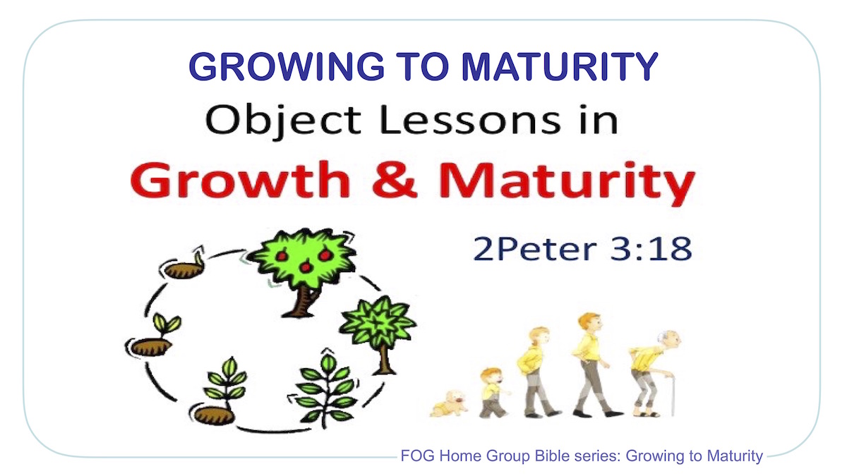 Growing to maturity 1