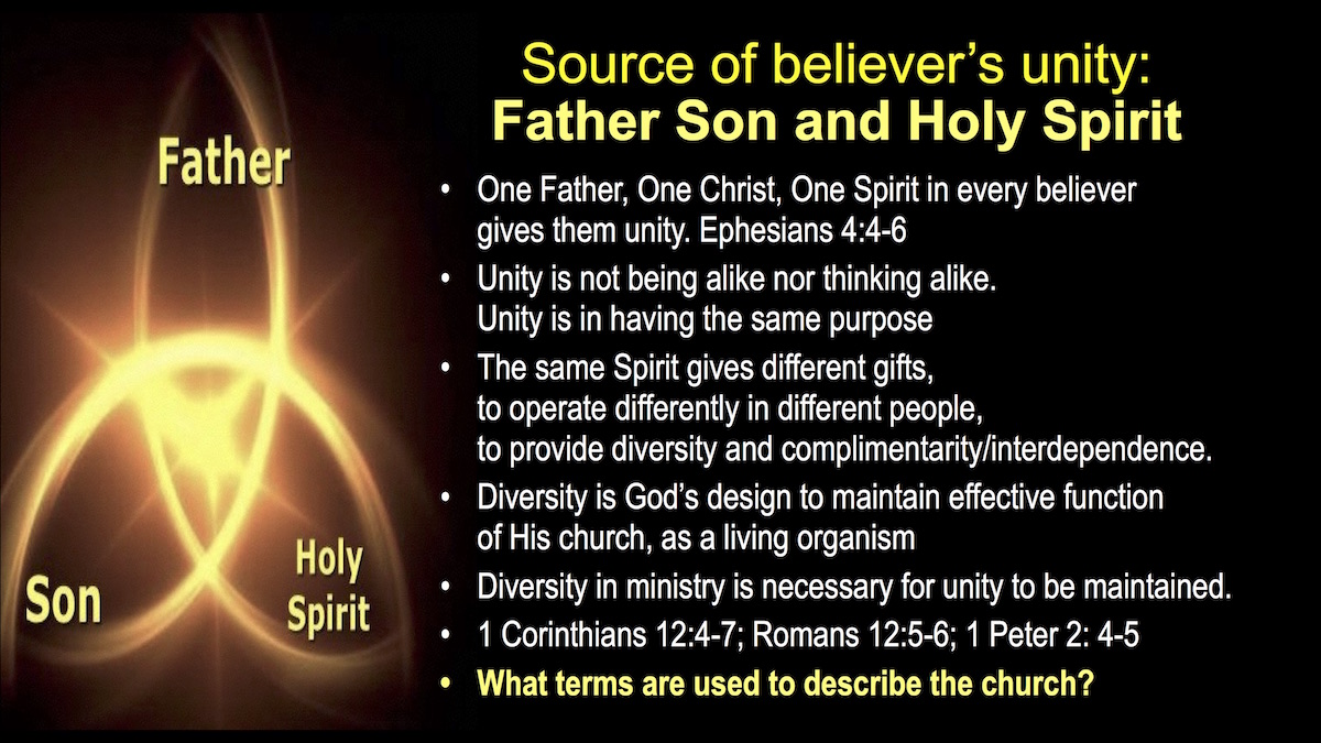 The Church the body of Christ3